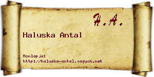 Haluska Antal névjegykártya